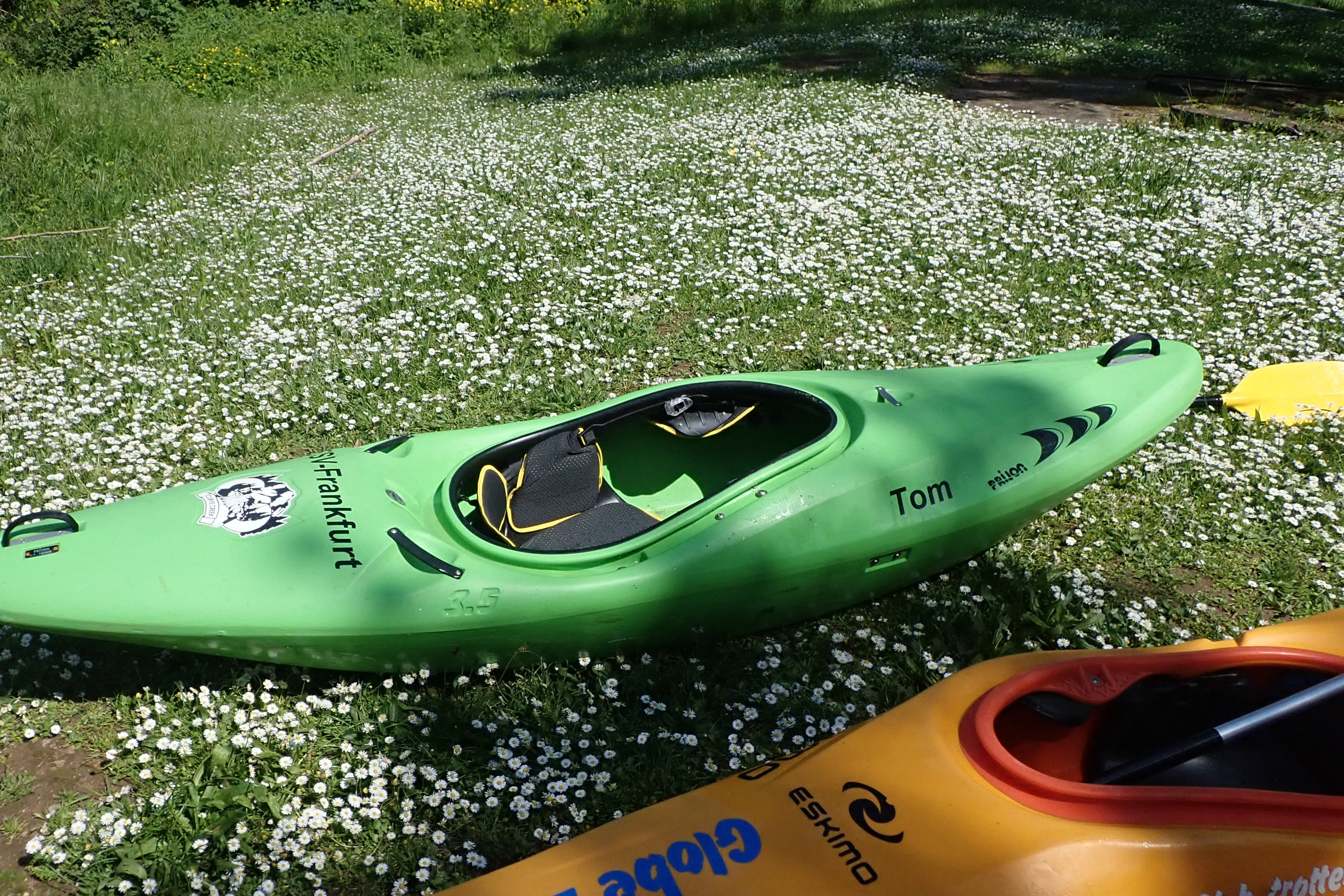 Am Ausstieg im Kurpark von Bad Kreuznach liegt eines unserer Boote im „Gänseblümchenmeer“